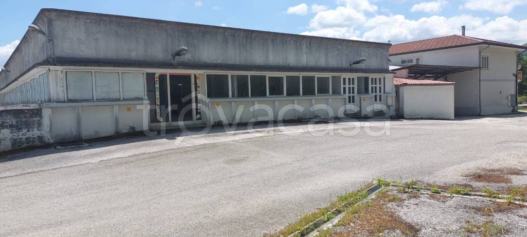 immagine annuncio 5 di 8