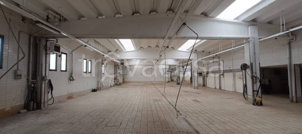 immagine annuncio 7 di 8