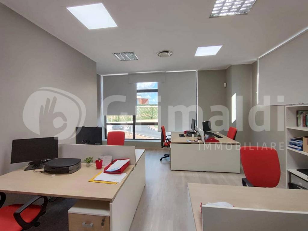 immagine annuncio 2 di 11