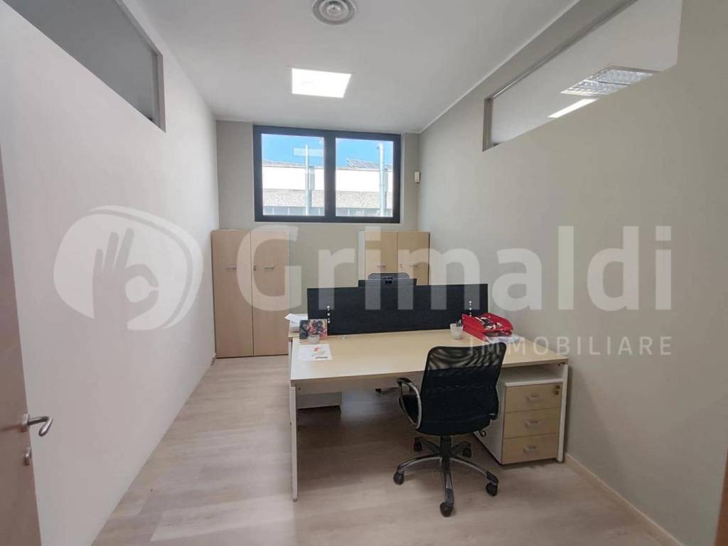 immagine annuncio 5 di 11