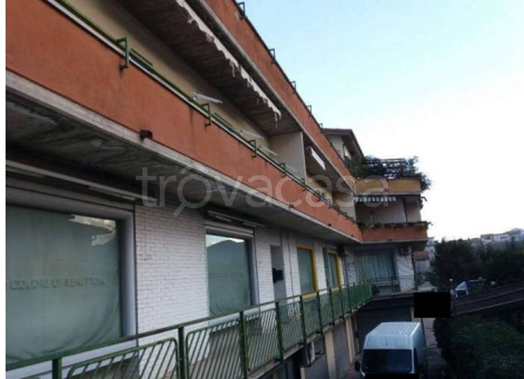 immagine annuncio 9 di 11