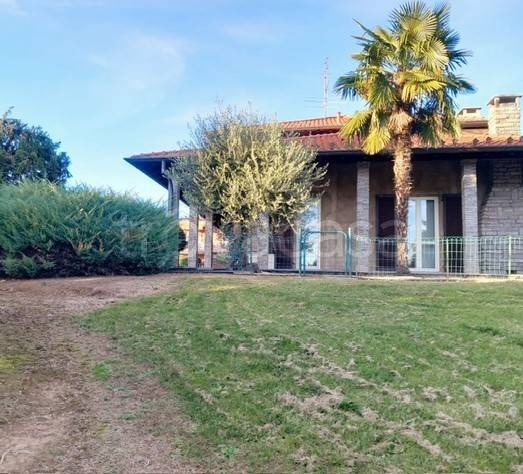 immagine annuncio 2 di 6