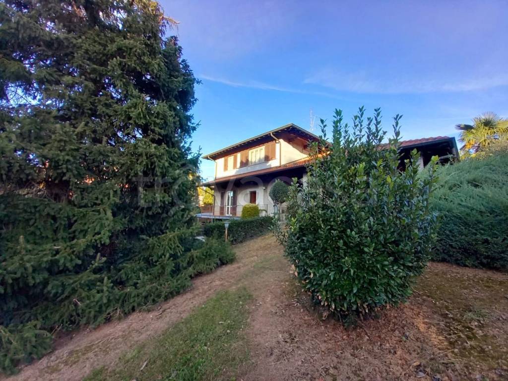 immagine annuncio 4 di 6