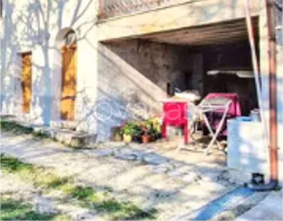 immagine annuncio 5 di 11