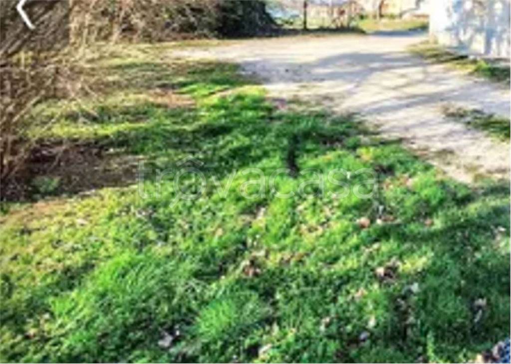 immagine annuncio 9 di 11