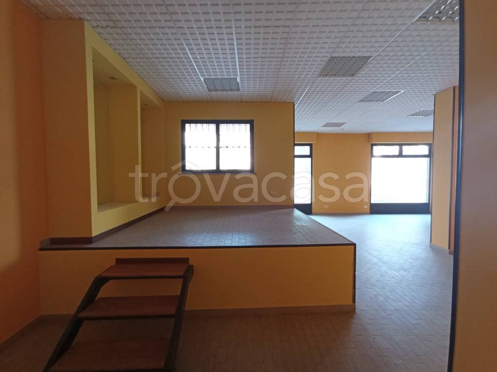 immagine annuncio 10 di 13