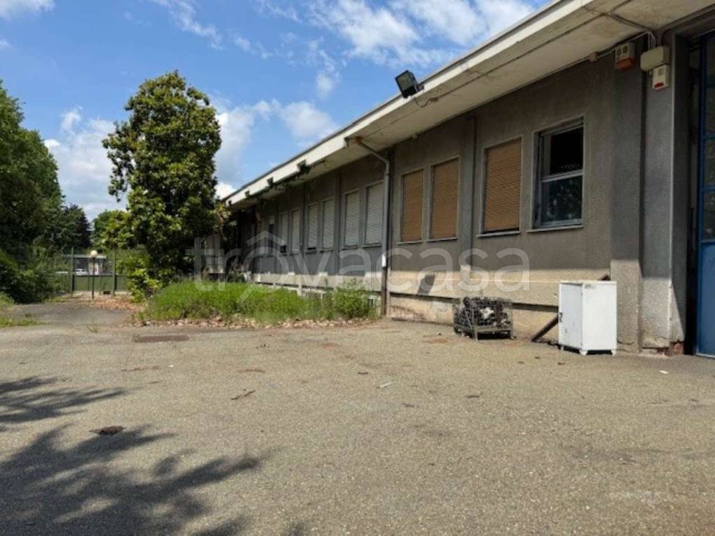 immagine annuncio 2 di 12