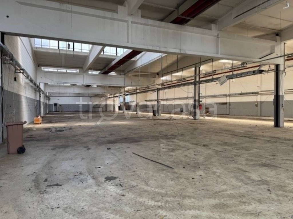 immagine annuncio 6 di 12