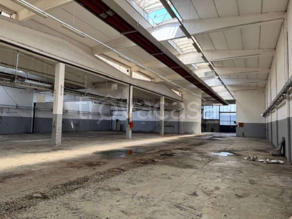 immagine annuncio 7 di 12