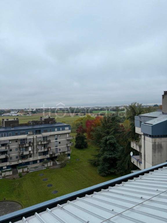 immagine annuncio 12 di 13