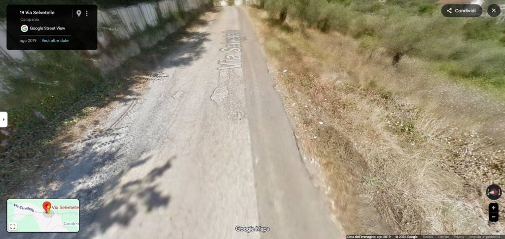 immagine annuncio 2 di 14