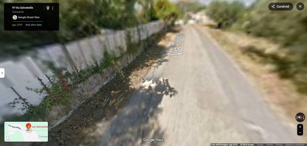 immagine annuncio 3 di 14