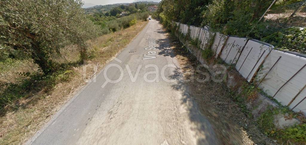 immagine annuncio 9 di 14