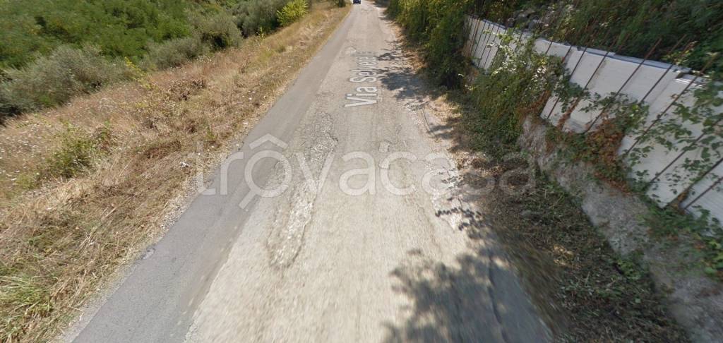 immagine annuncio 11 di 14