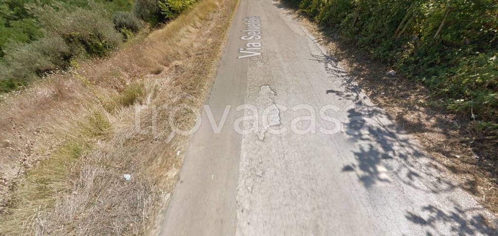 immagine annuncio 12 di 14