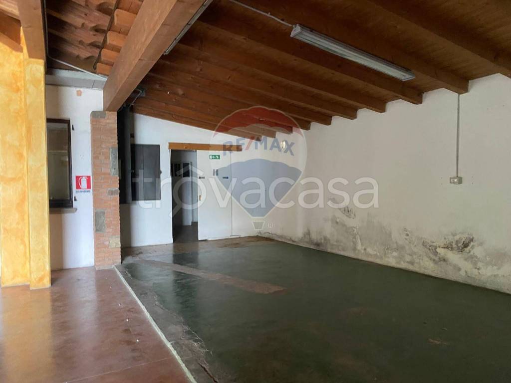 immagine annuncio 3 di 8