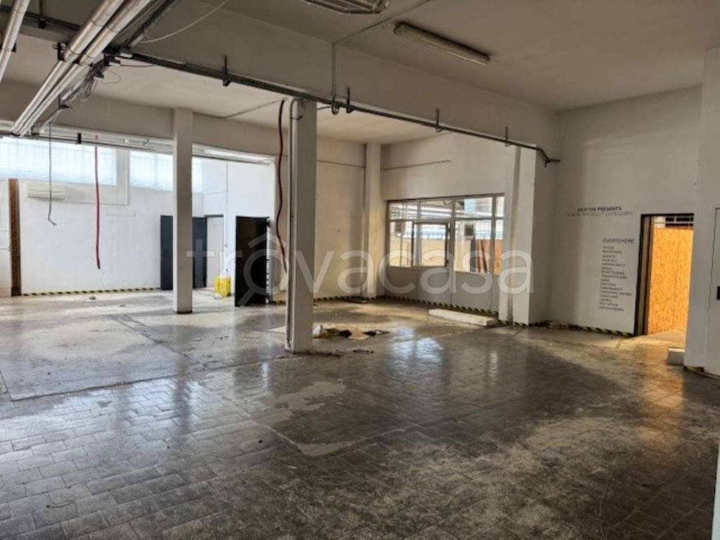 immagine annuncio 3 di 11