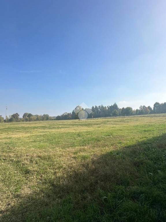 immagine annuncio 4 di 7