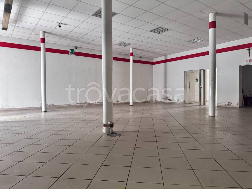 immagine annuncio 2 di 6