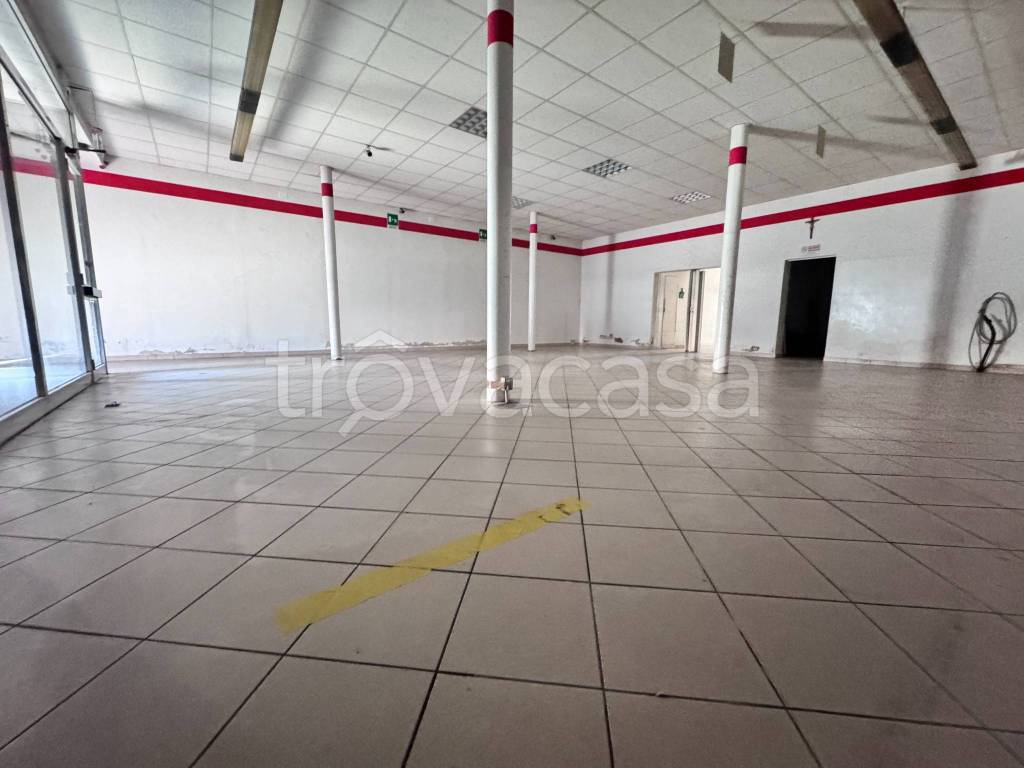 immagine annuncio 3 di 6