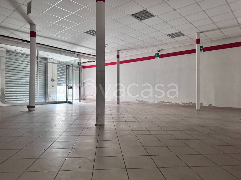 immagine annuncio 5 di 6