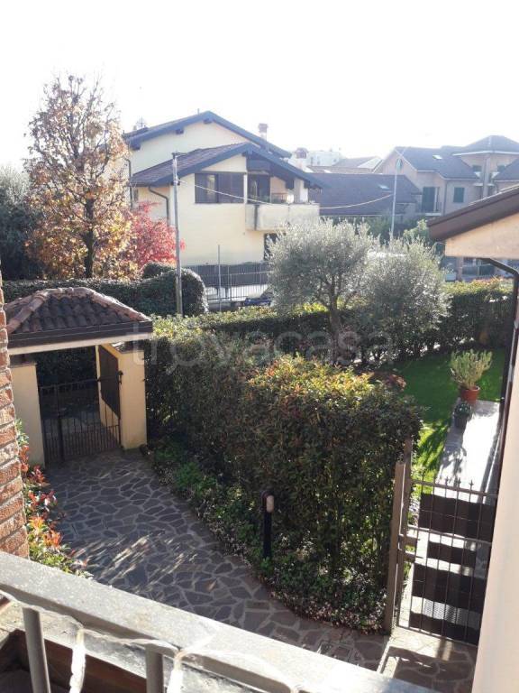 immagine annuncio 11 di 15