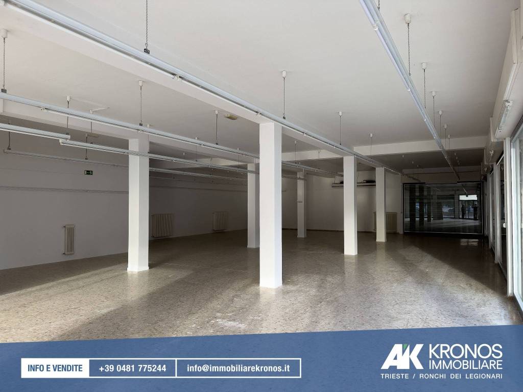 immagine annuncio 6 di 7