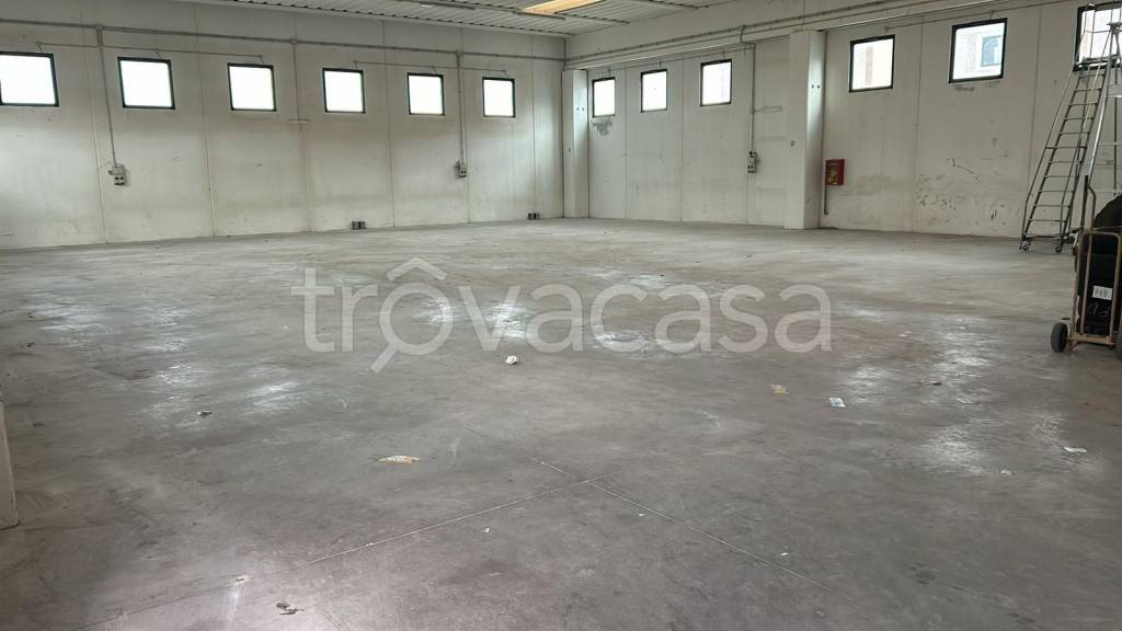 immagine annuncio 2 di 3