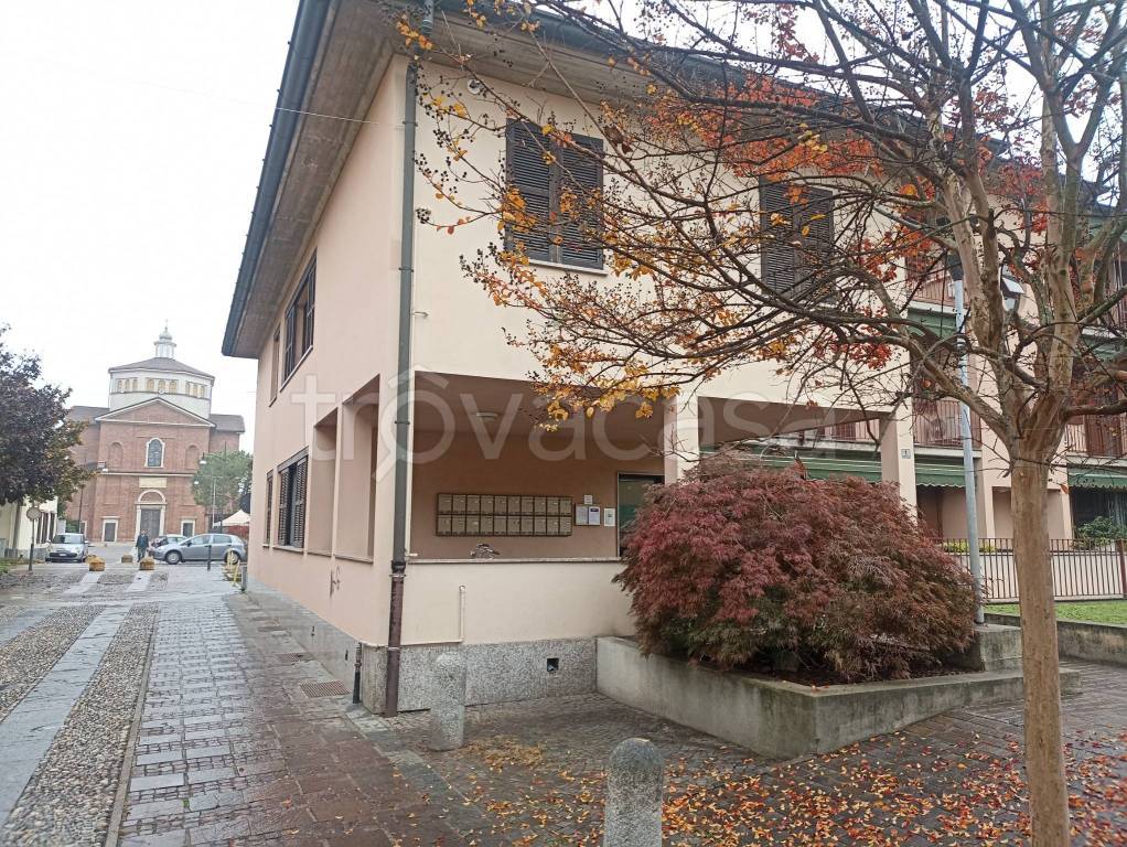 immagine annuncio 7 di 15