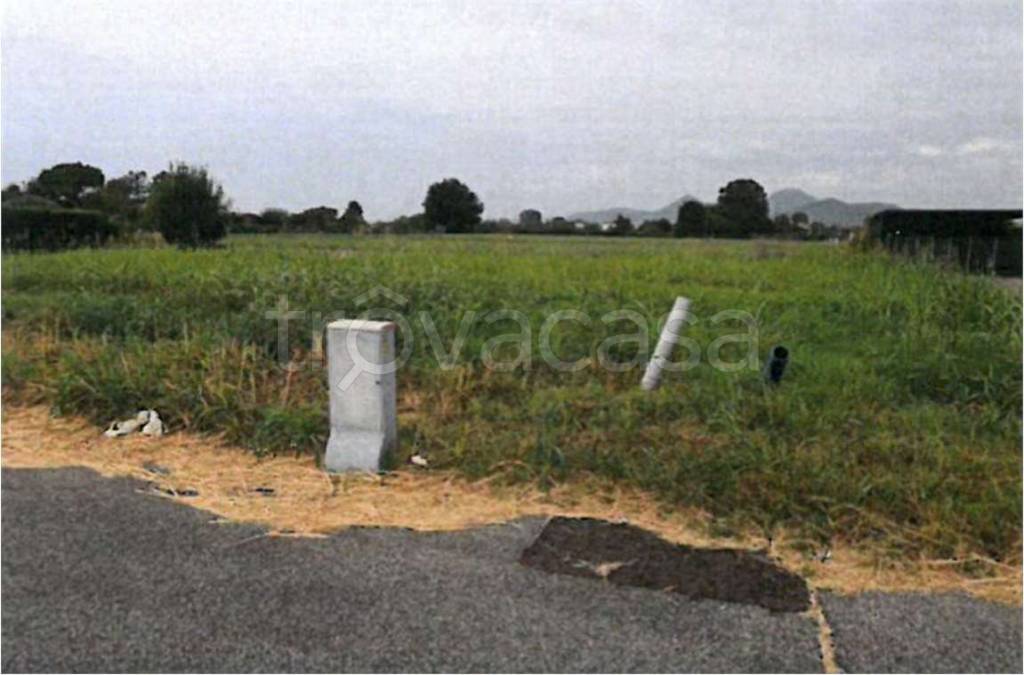 immagine annuncio 10 di 12