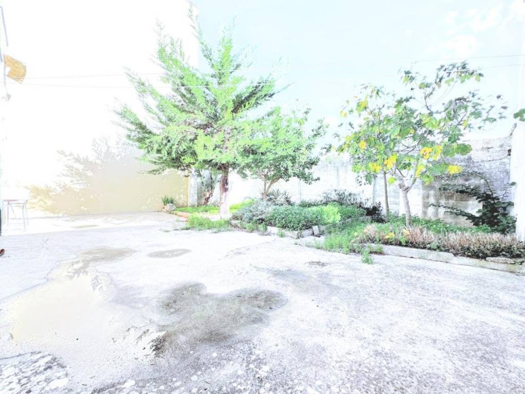 immagine annuncio 5 di 8