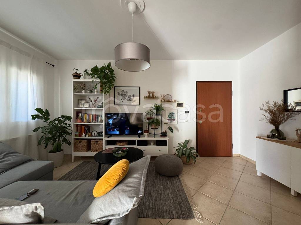 immagine annuncio 2 di 9