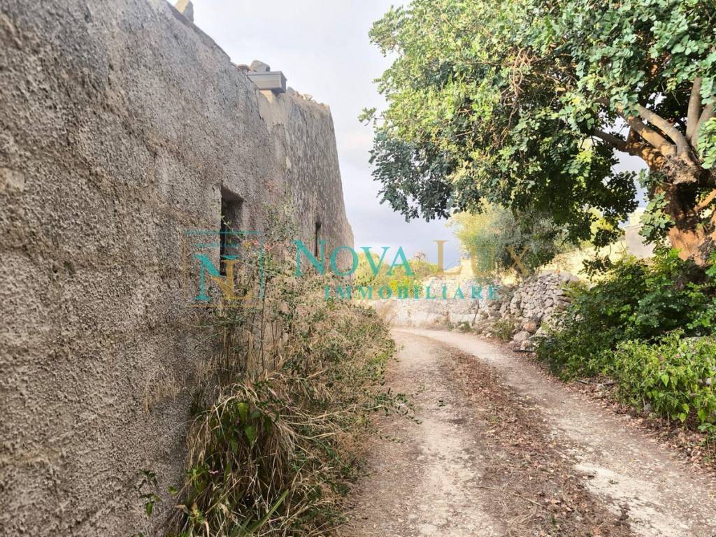 immagine annuncio 12 di 14