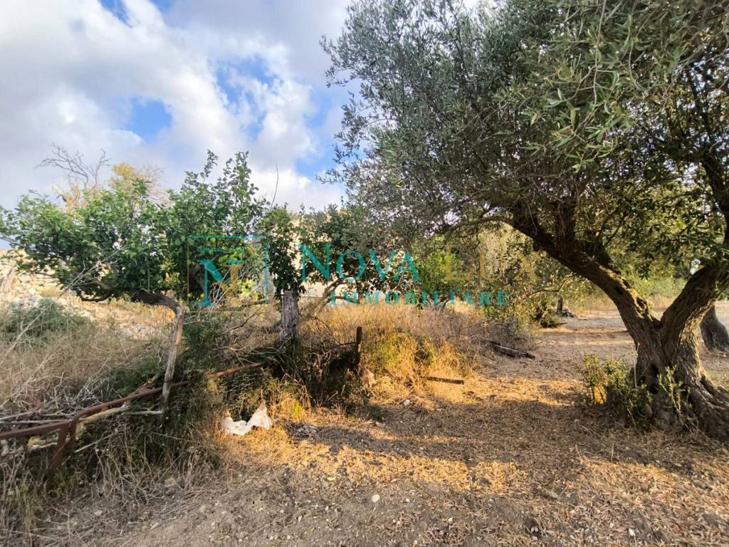 immagine annuncio 9 di 14