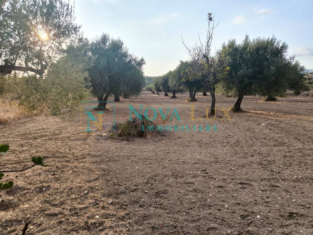 immagine annuncio 10 di 14