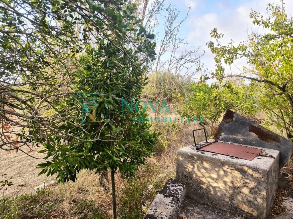 immagine annuncio 6 di 14