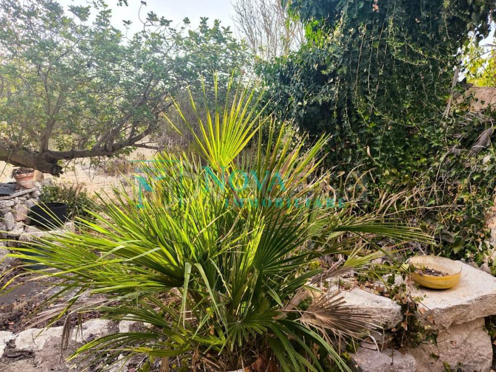 immagine annuncio 11 di 14