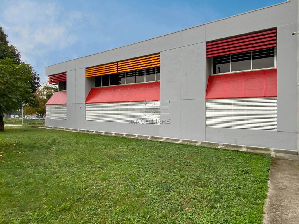 immagine annuncio 5 di 15