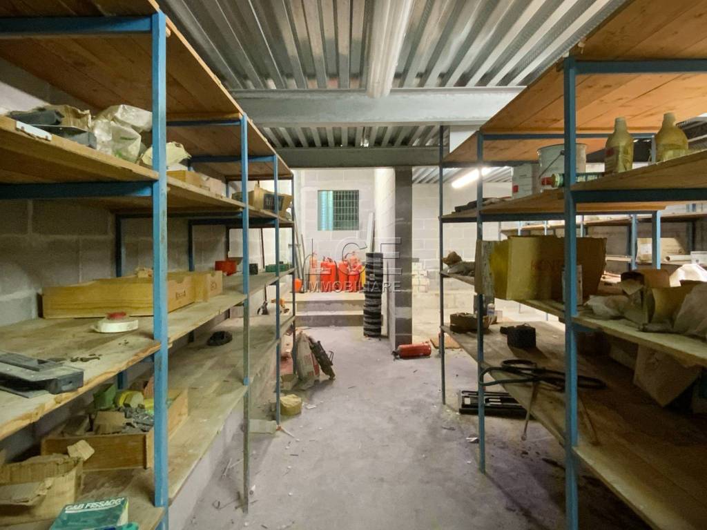 immagine annuncio 14 di 15