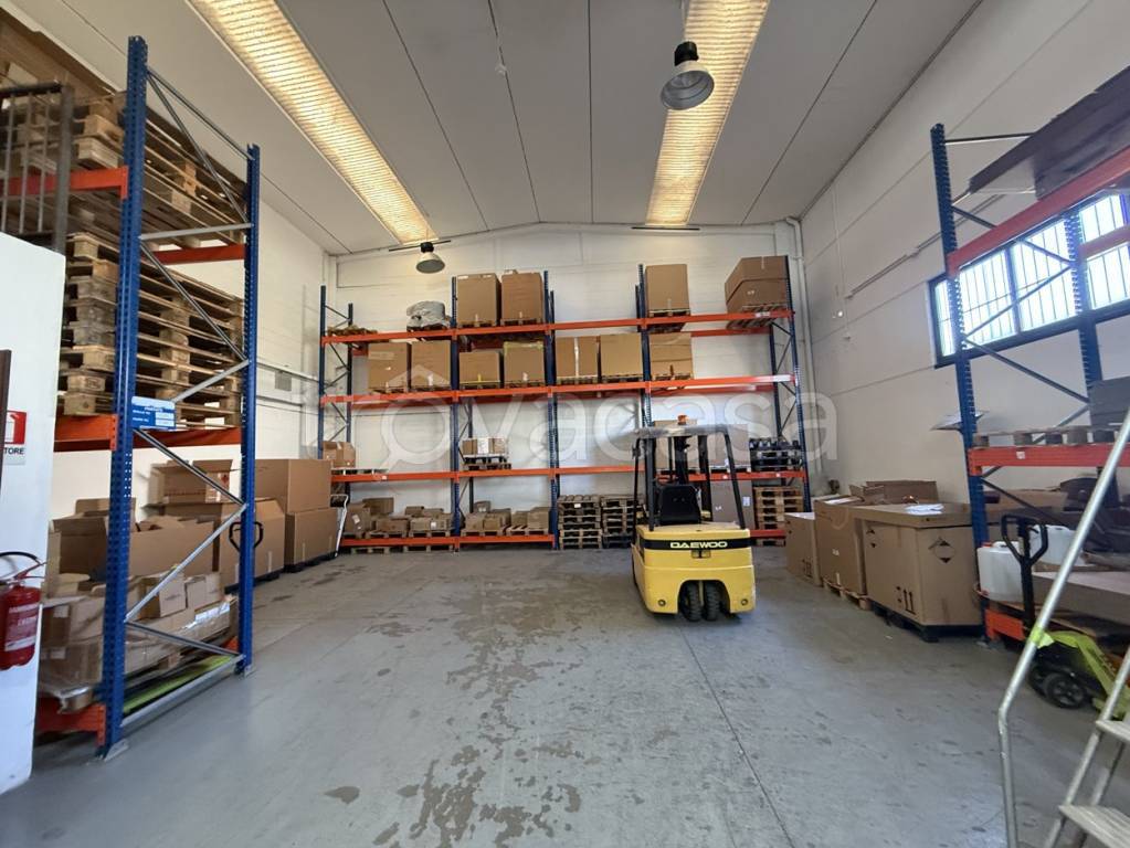 immagine annuncio 2 di 11