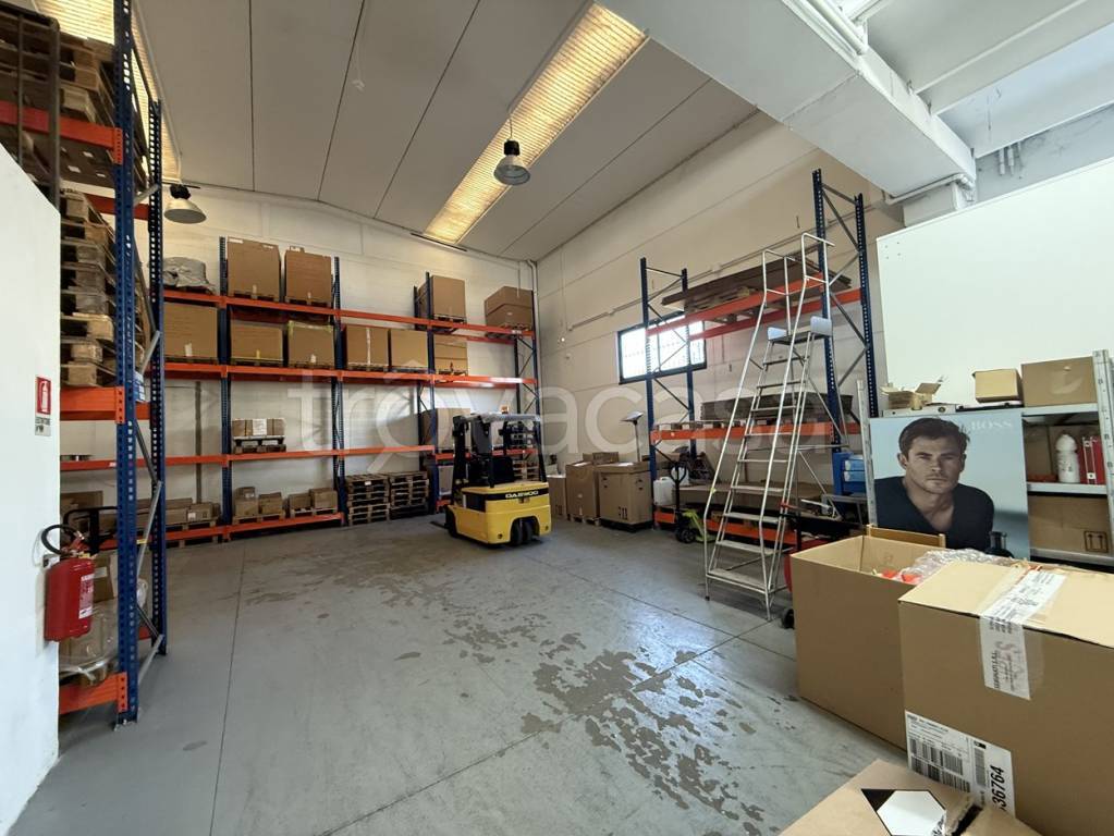 immagine annuncio 3 di 11