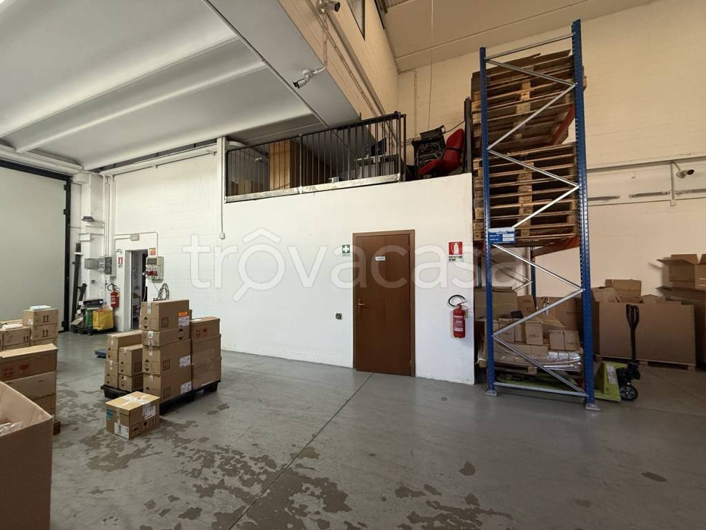 immagine annuncio 4 di 11