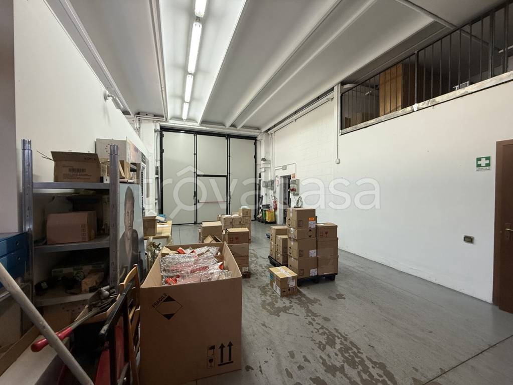 immagine annuncio 6 di 11