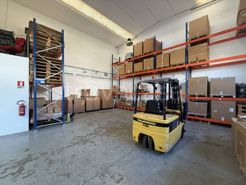 immagine annuncio 7 di 11