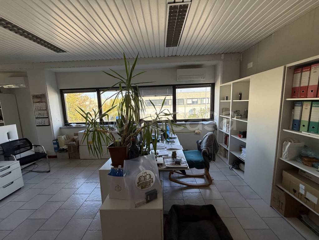 immagine annuncio 10 di 11