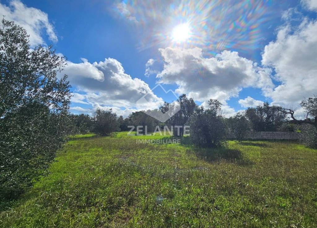 immagine annuncio 4 di 11