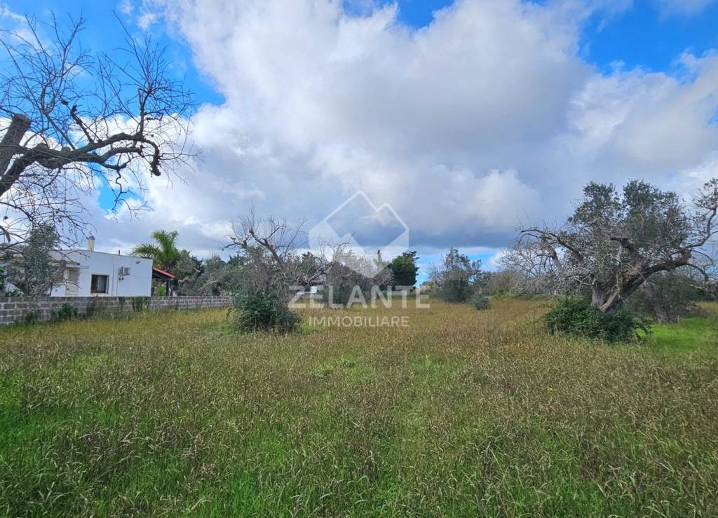 immagine annuncio 5 di 11