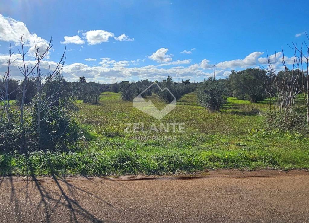 immagine annuncio 6 di 11