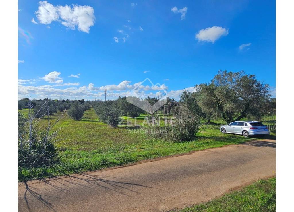 immagine annuncio 7 di 11