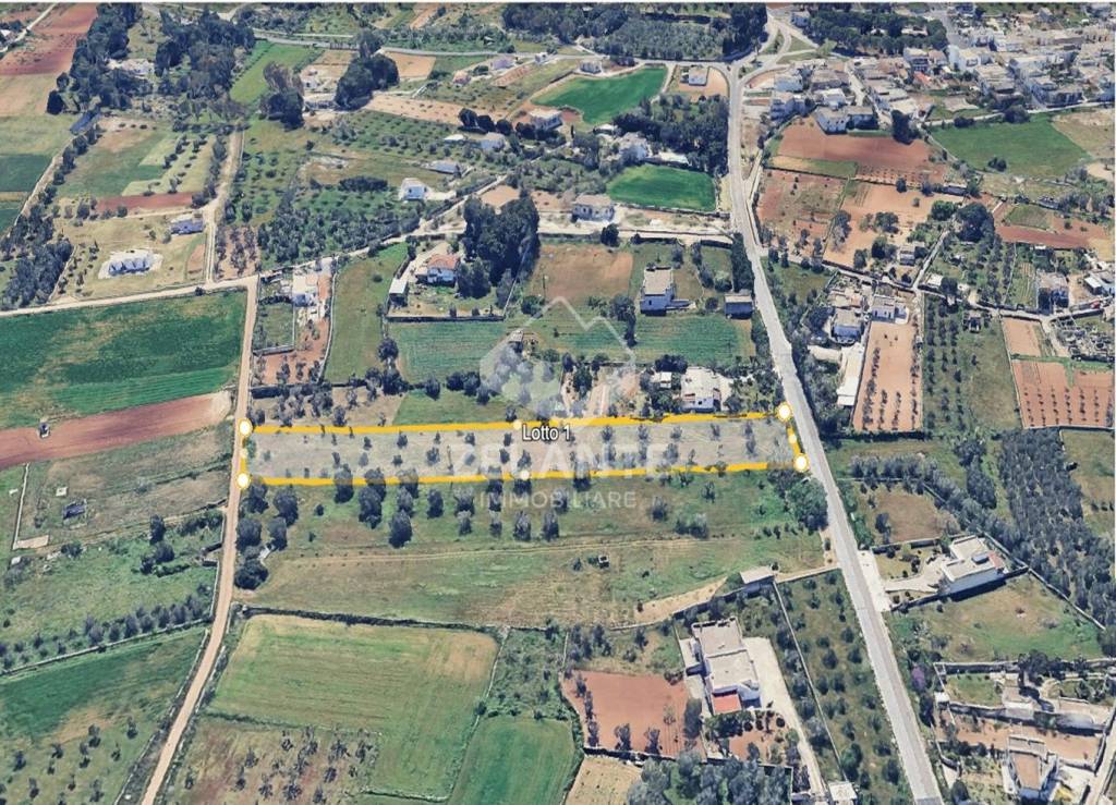 immagine annuncio 10 di 11